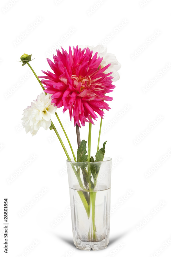 Bunch of  peonies and aster