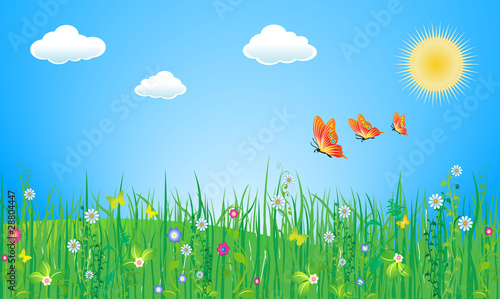 Spring