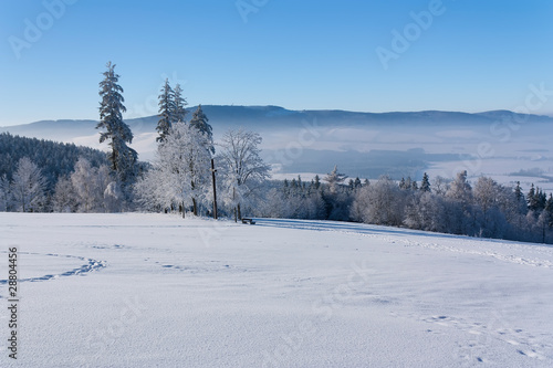 Mountains in winter (Orlicke hory, Czech Republic, Europe)