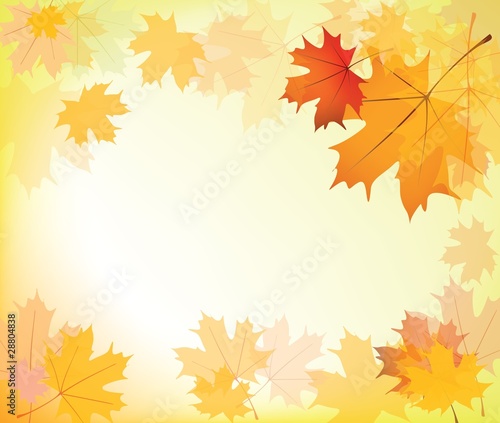 autumn maple leaves frame, background