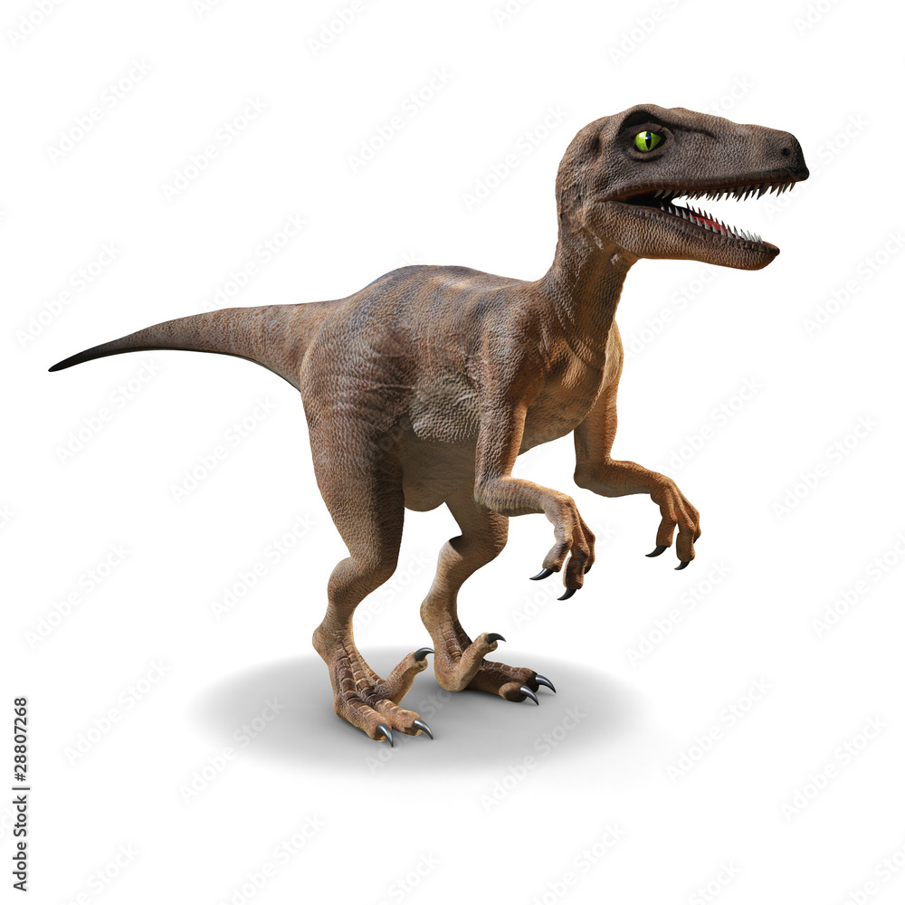 3d Velociraptor - obrazy, fototapety, plakaty 