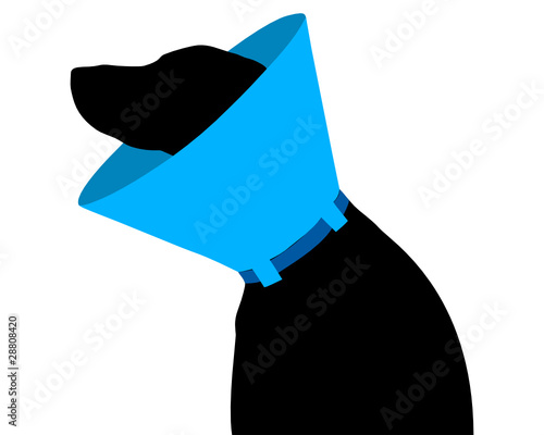 Hund mit Halskrause