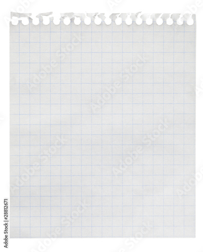 Squared paper loose-leaf note sheet isolated on white