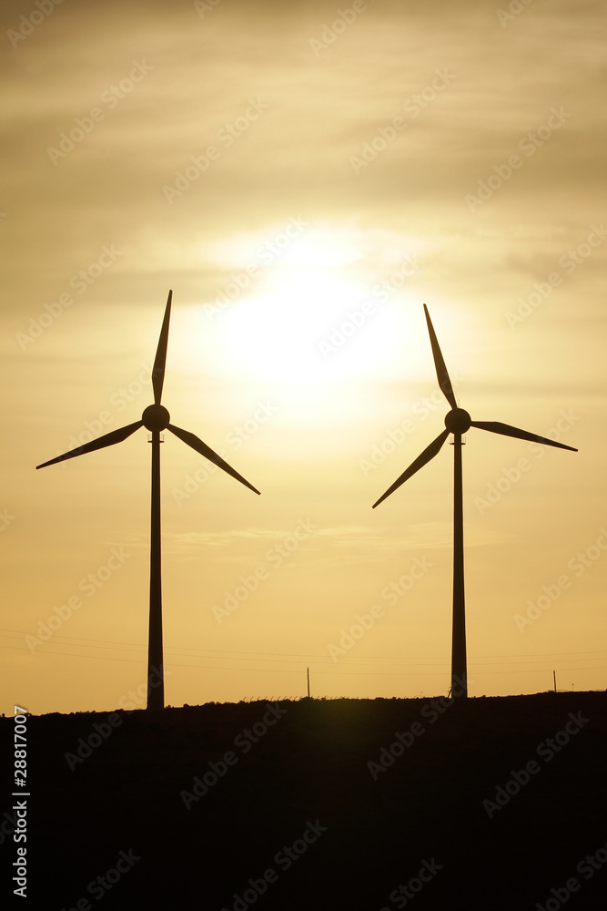 wind turbine at  sunset