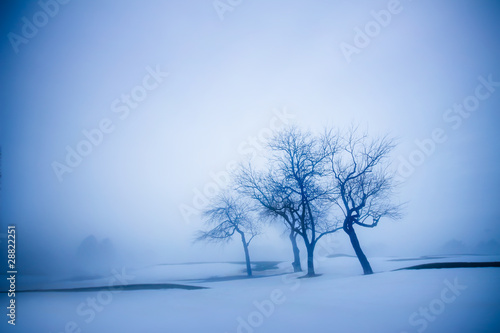 Winterscape photo