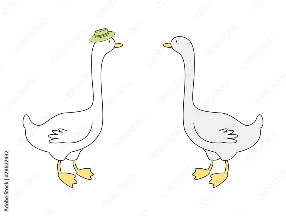 Vector illustration of two gooses Vector illustration of two gooses
