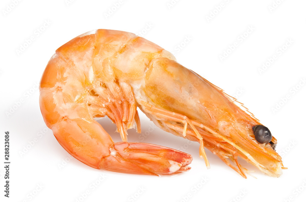 boiled shrimp