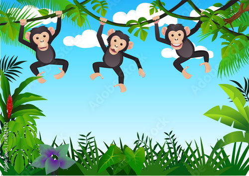 Chimpanzee in the jungle