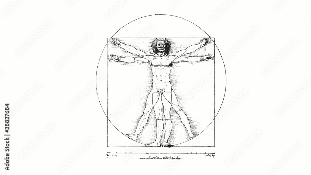 Vitruvian Man (DaVinci) spin swivel on white background Vitruvian Man (DaVinci) spin swivel on white background