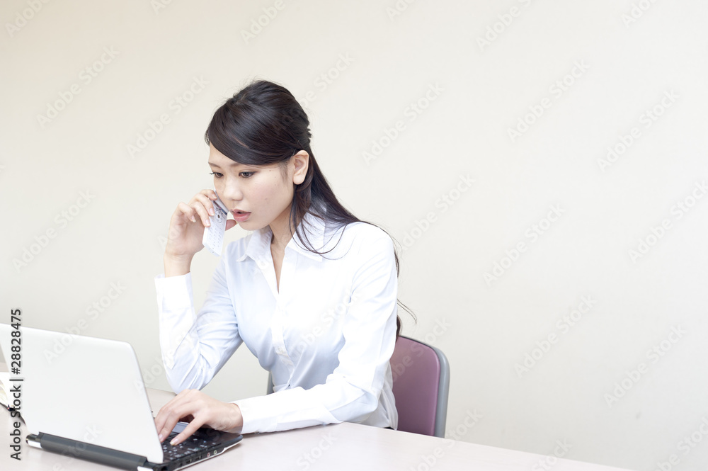 a portrait of young business woman working a portrait of young business woman working