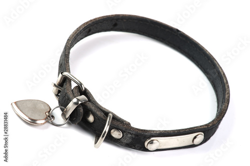 old and dirty dogs collar