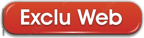 bouton exclu web