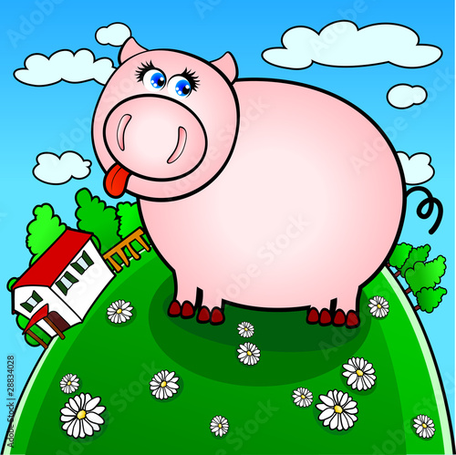 Pig farm