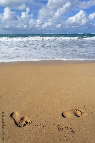 Fototapeta Naklejka Na Ścianę i Meble -  les pieds dans le sable