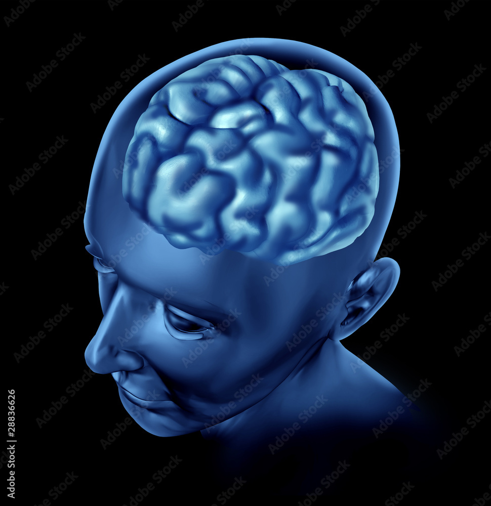 Obraz premium brain lobe sections divisions of mental neurological isolated