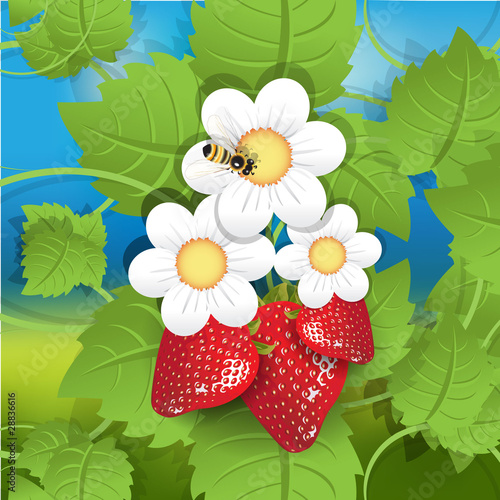 strawberry