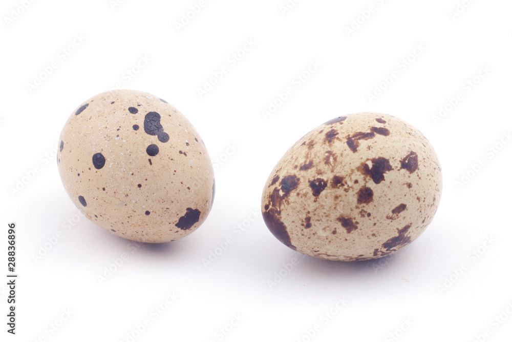 Two quail eggs Two quail eggs