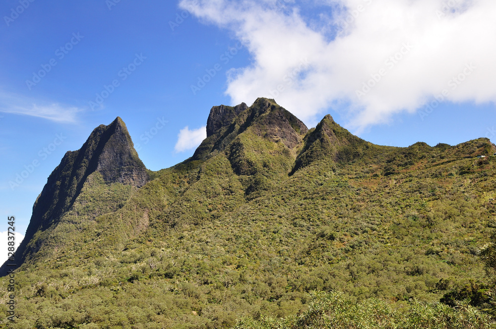 Fototapeta premium col des boeufs