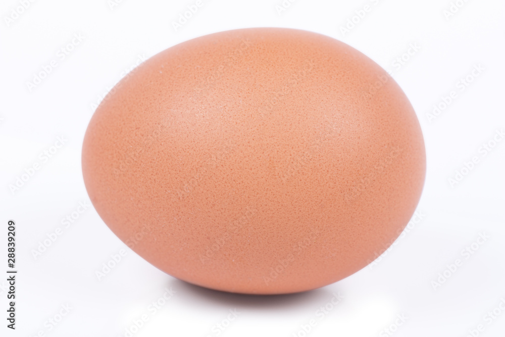 Egg
