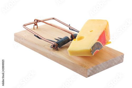 Mouse trap and cheese