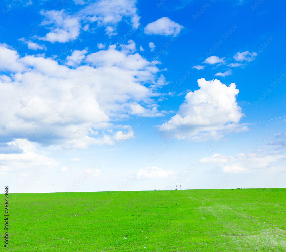 Wallpaper Beauty Grass Wallpaper Beauty Grass