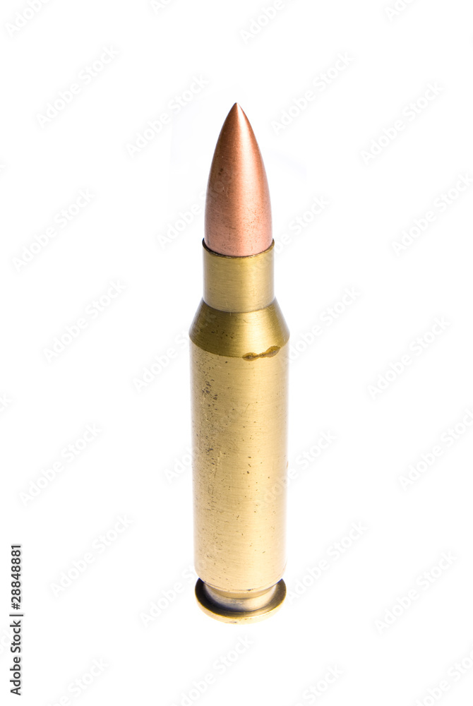 The cartridge The cartridge