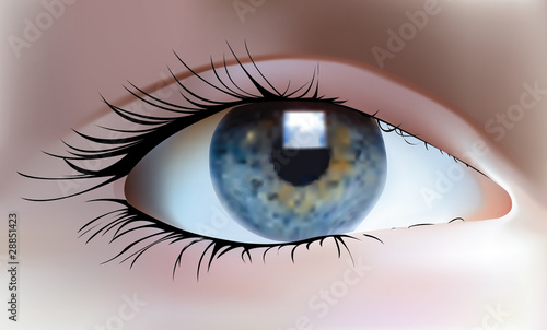 Eye
