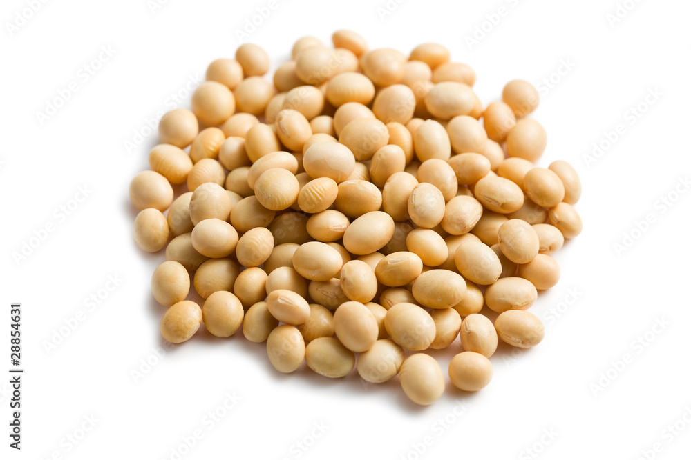 soya beans on white background soya beans on white background
