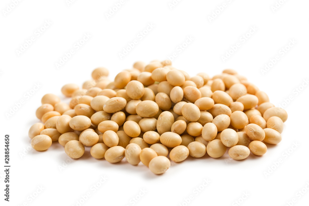 soya beans on white background soya beans on white background