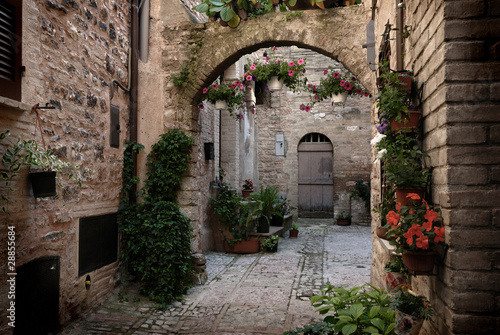 Fototapeta Naklejka Na Ścianę i Meble -  Spello, Umbria