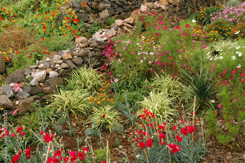 Garten auf Madeira