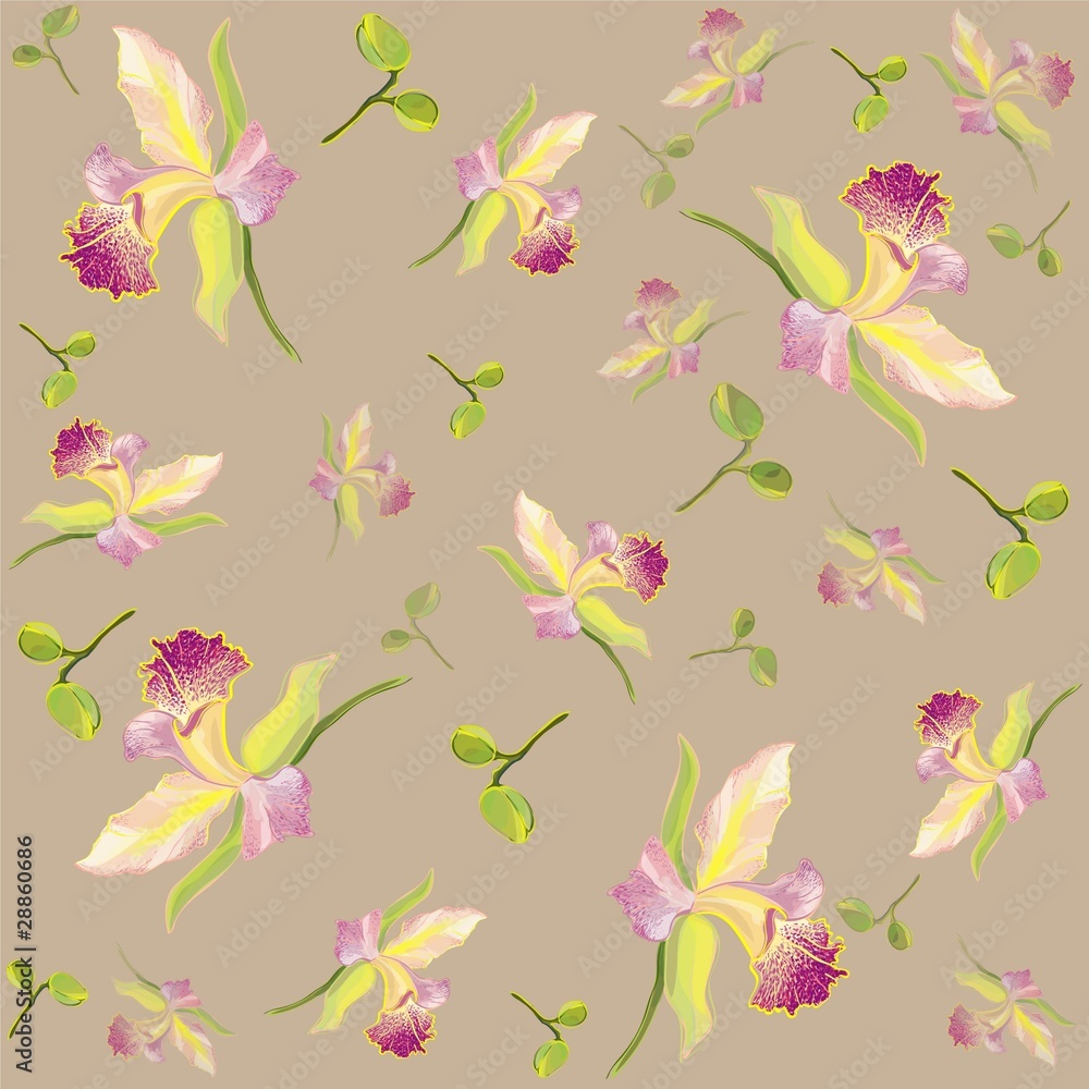 Retro floral background. Orchids.