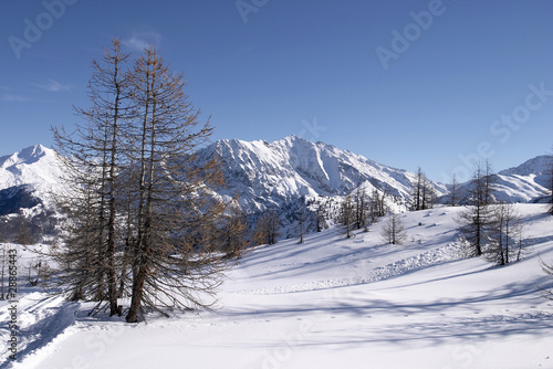 Snow covered meadow in the Alps with ski trail