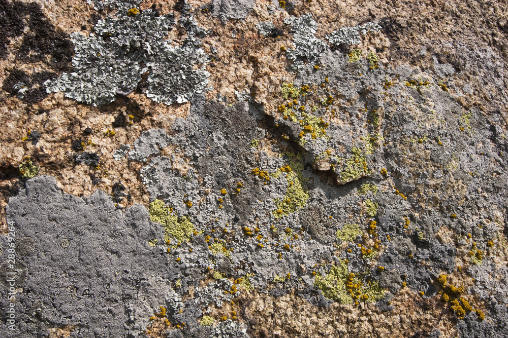 mountain texture mountain texture
