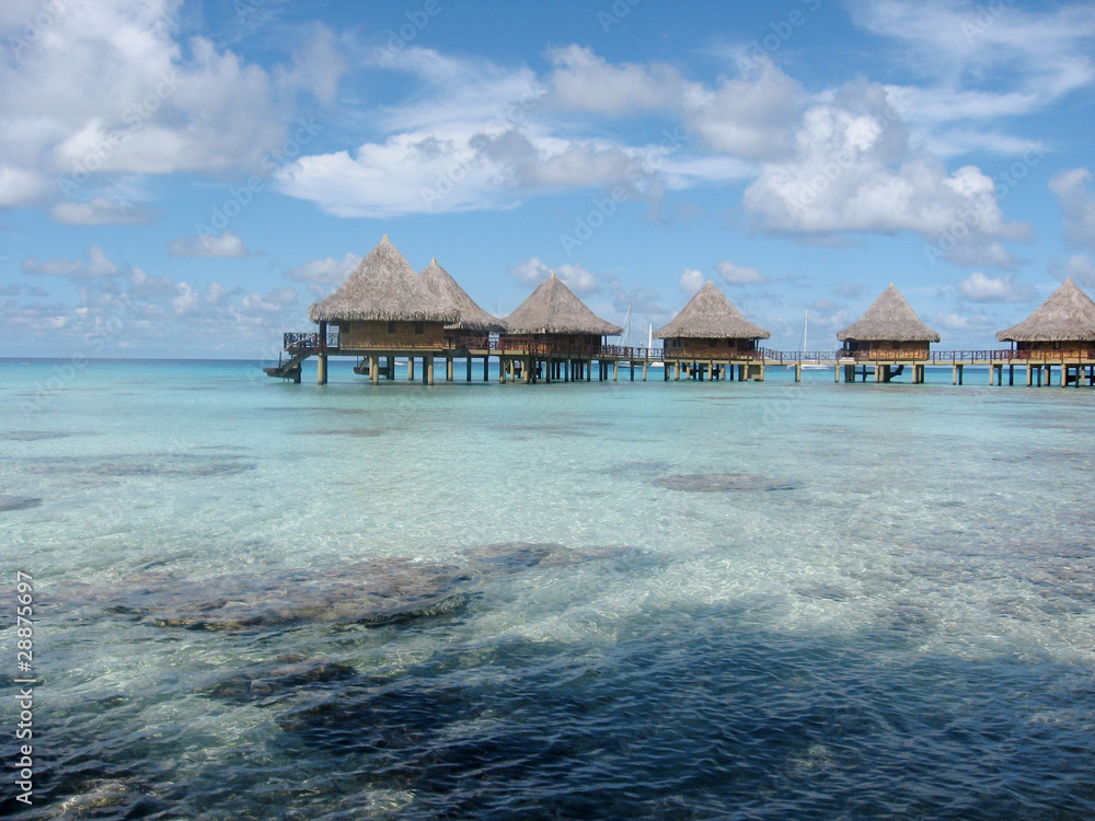 corail,ocean,mer,beach,see,sonne,himmel,wolke corail,ocean,mer,beach,see,sonne,himmel,wolke