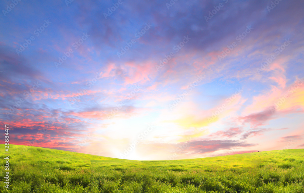 Green landscape .