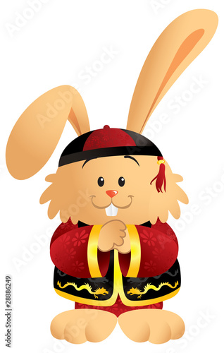 Cute cartoon bunny wearing a traditional Chinese outfit