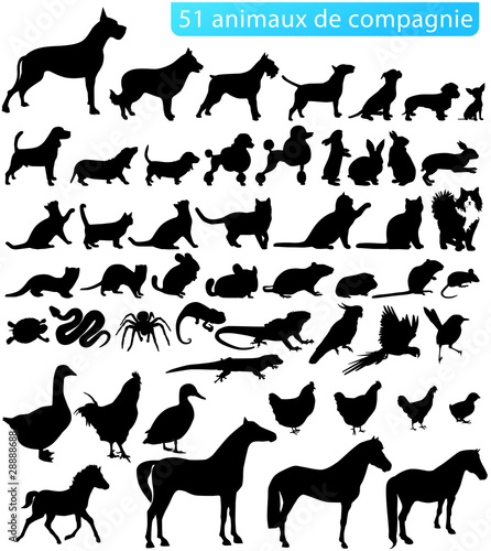 51 animaux de compagnie