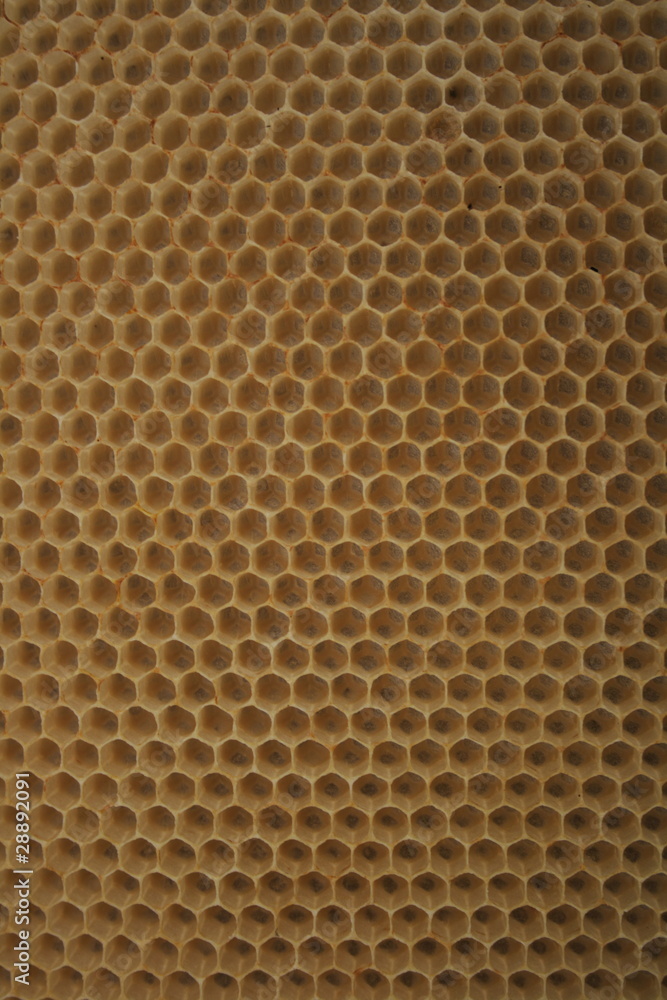 beeswax wirhout honey beeswax wirhout honey