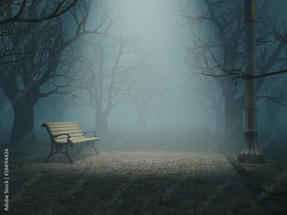 lonely bench in misty park - obrazy, fototapety, plakaty 
