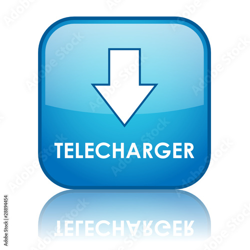 Bouton Web TELECHARGER (téléchargement internet fichiers bleu)