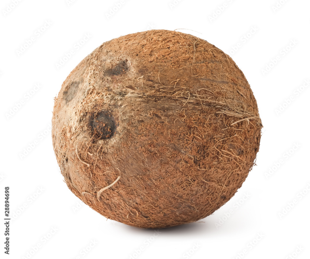 Fresh ripe coconut Fresh ripe coconut