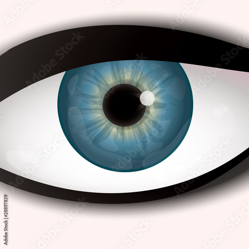 Blue-yellow eye