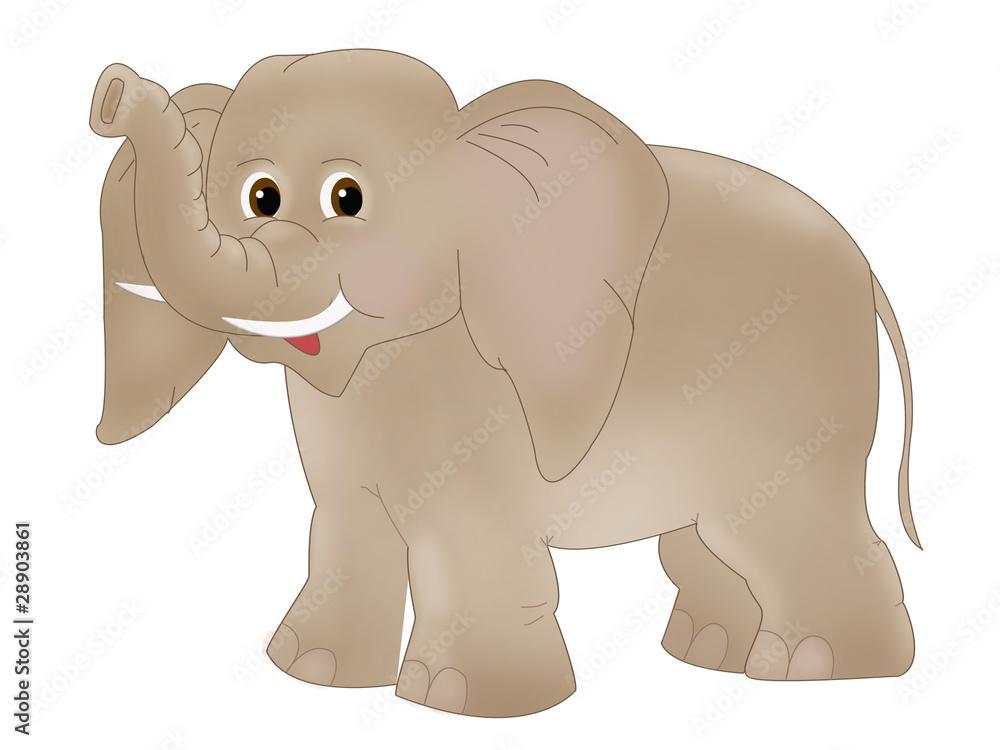 Fototapeta premium Elephant