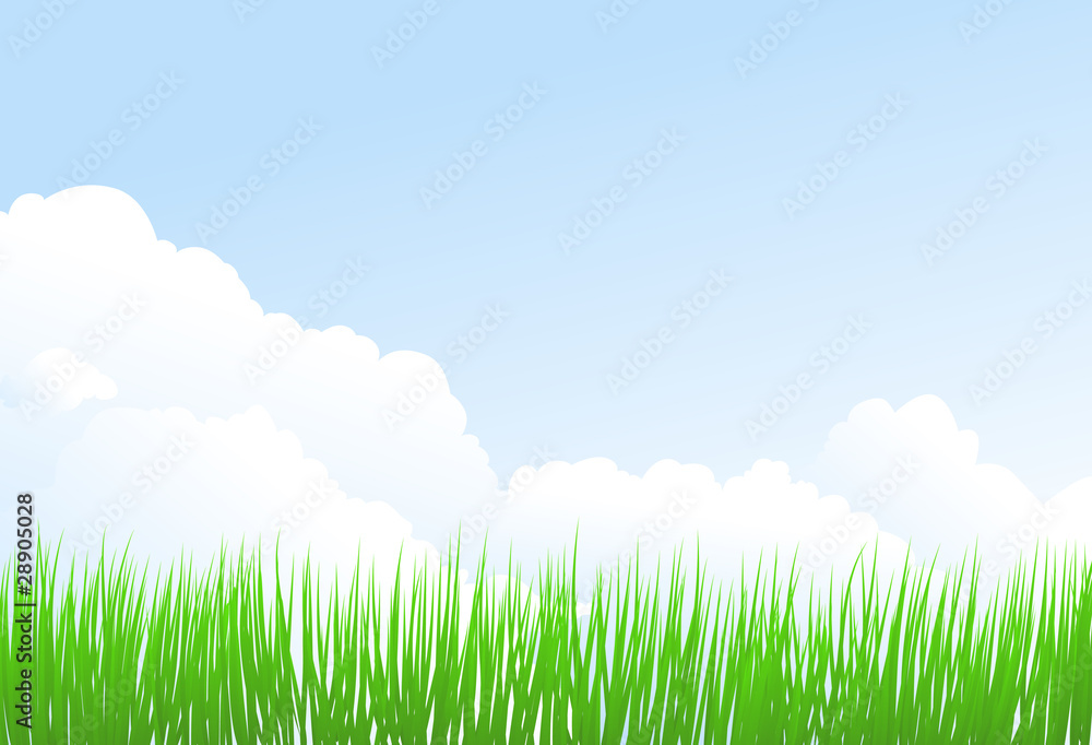 green grass and sky