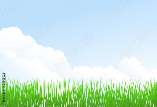 green grass and sky