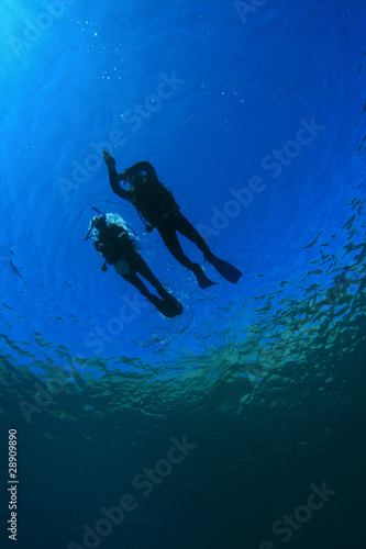 Scuba Divers Student and Instructor