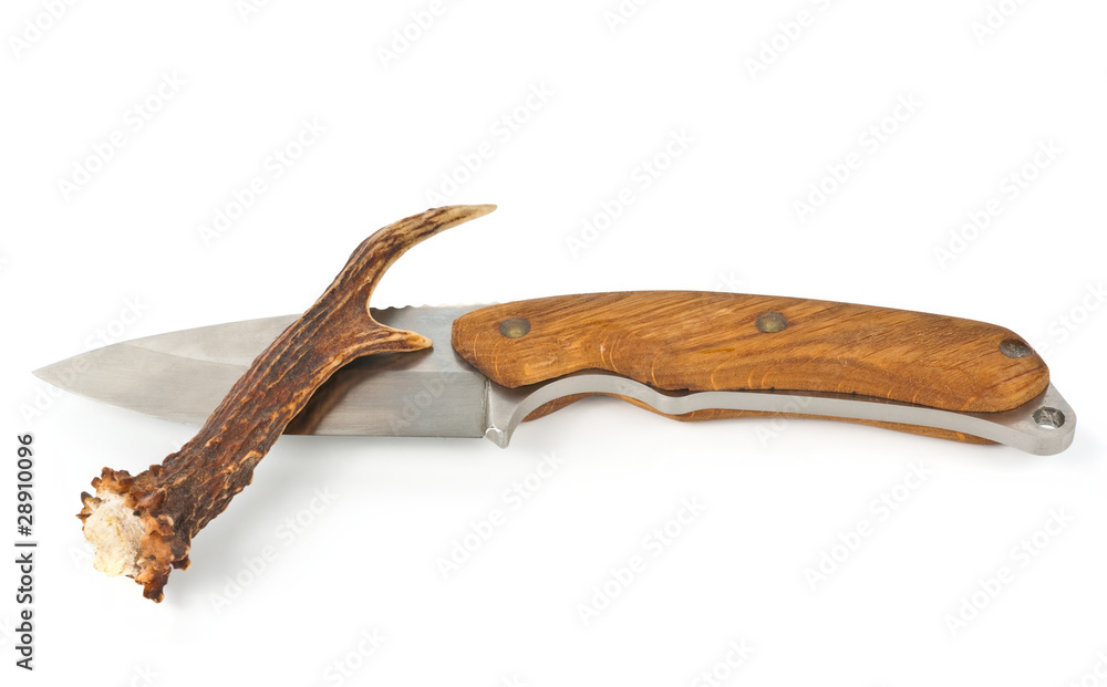 Foto Knife and antler over white