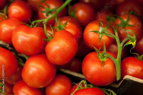 Bunch of tomatoes © Aden Priest