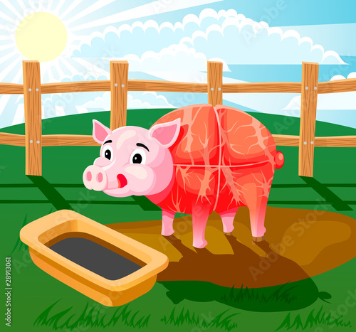 Pig sausage